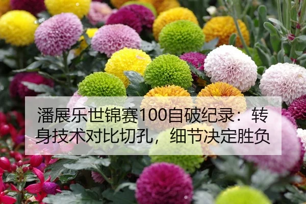 潘展乐世锦赛100自破纪录：转身技术对比切孔，细节决定胜负