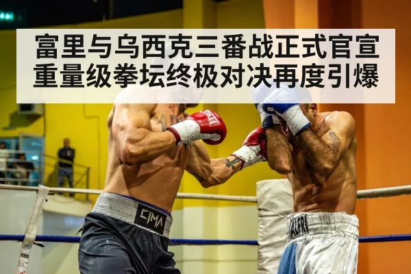 heavyweight boxing match