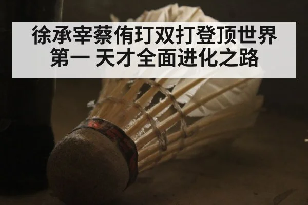 徐承宰蔡侑玎双打登顶世界第一 天才全面进化之路