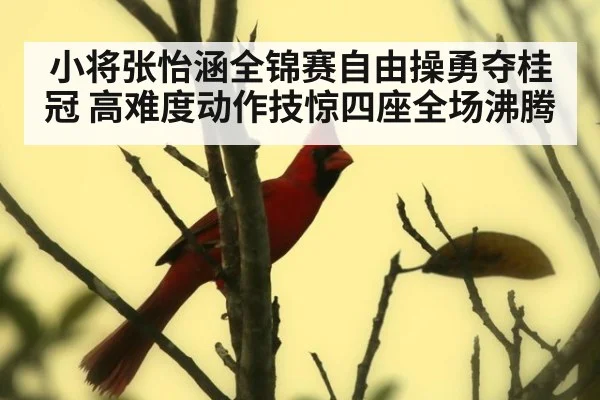 小将张怡涵全锦赛自由操勇夺桂冠 高难度动作技惊四座全场沸腾